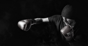 a boxer